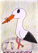 Večerková Tímea.jpg